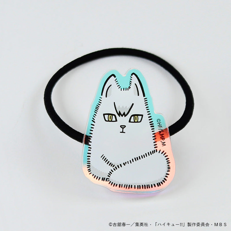 オーロラゴムバンド キタキツネ
