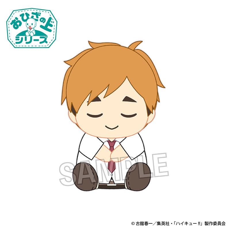 ハイキュー!! おひざの上シリーズ お昼寝ver. 宮 侑