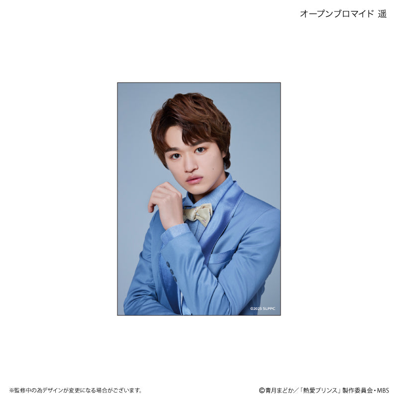 熱愛プリンス ブロマイド 遥