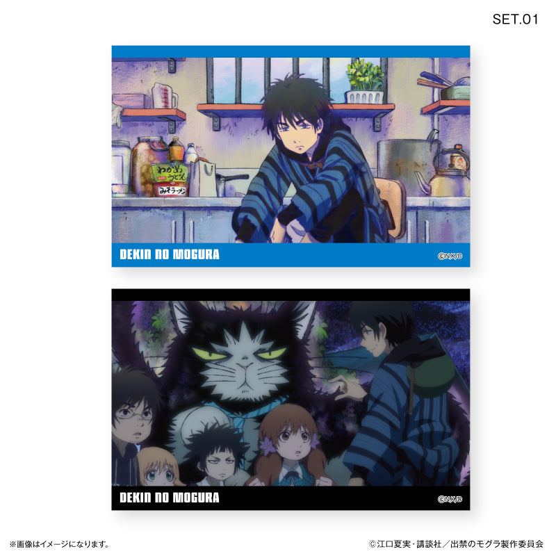 TVアニメ『出禁のモグラ』 トレーディングコレクションカード【全10種】(BOX)