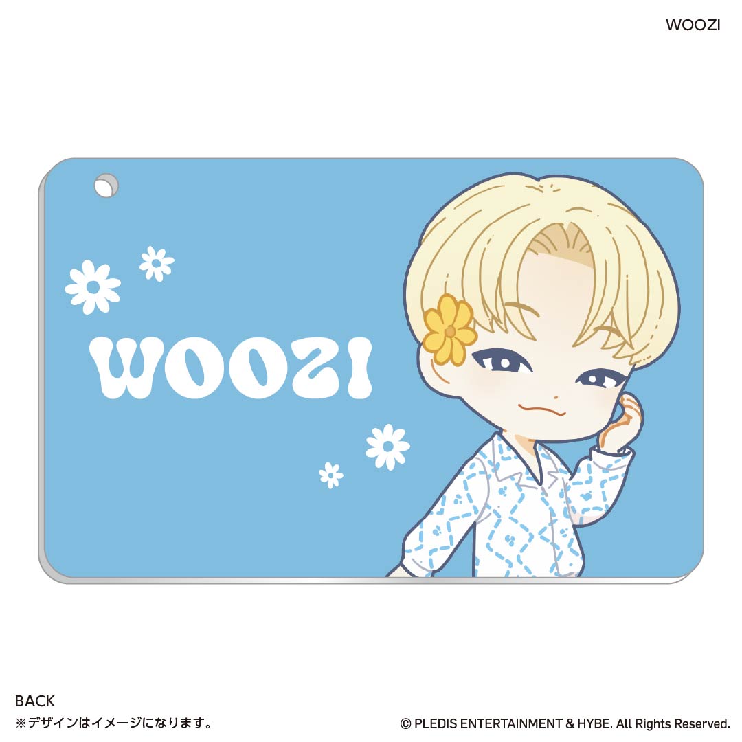 スライドカードケース PetiTEEN WOOZI