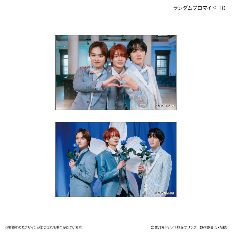 熱愛プリンス トレーディングブロマイド 全10種 単品