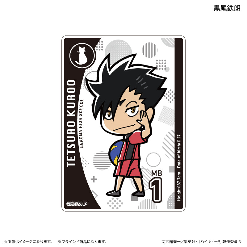 ハイキュー!! アクリルカード(ブラインド)全10種 BOX