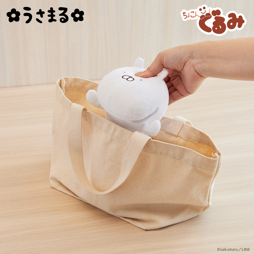 ちょこんぐるみ ペンケース うさこ