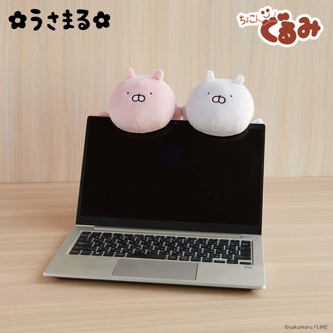 ちょこんぐるみ ペンケース うさこ