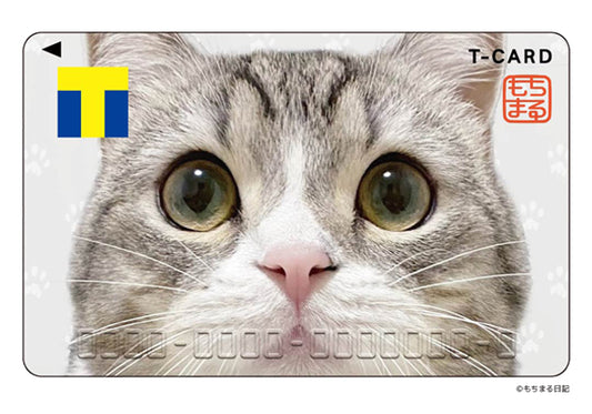「もちまる」がついにTカードに‼ 大人気YouTube猫チャンネル「もちまる日記」コラボグッズ2種も新登場！