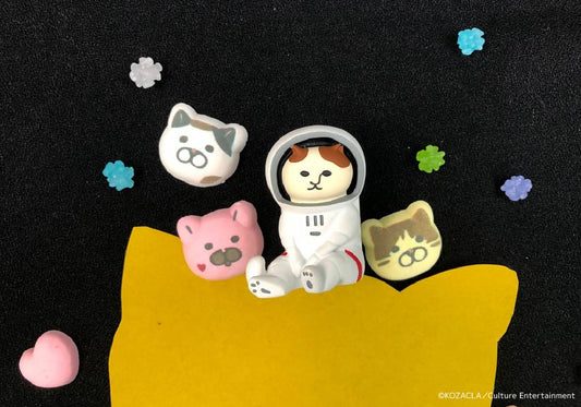 「#NYASA撮り」とは！？ 可愛すぎるコマ撮動画 撮影密着レポート！！