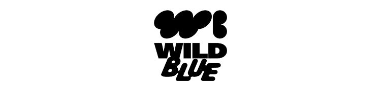 【作品別】WILD BLUE