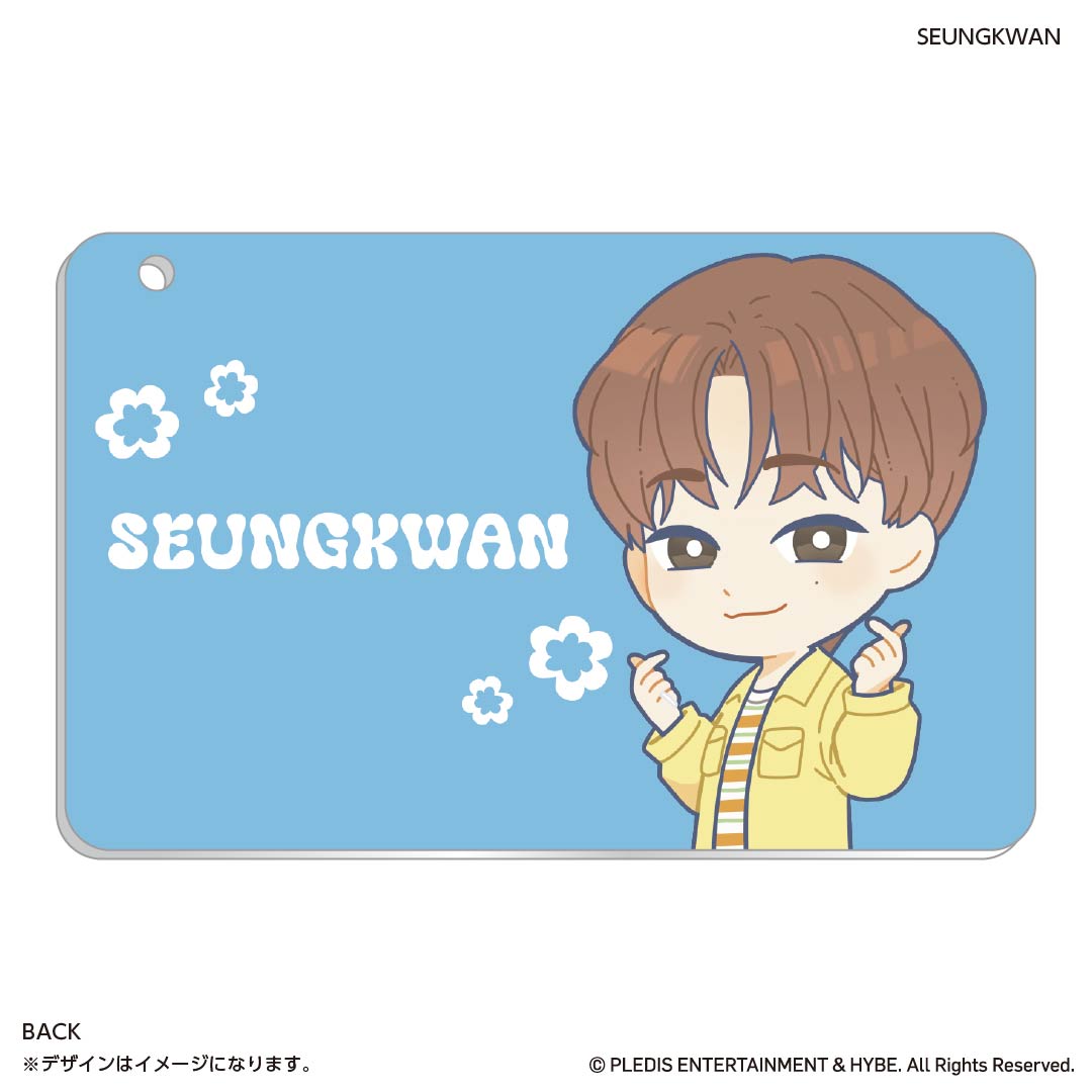 スライドカードケース　PetiTEEN SEUNGKWAN