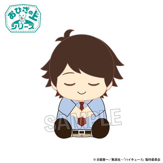 ハイキュー!! おひざの上シリーズ お昼寝ver. 及川 徹