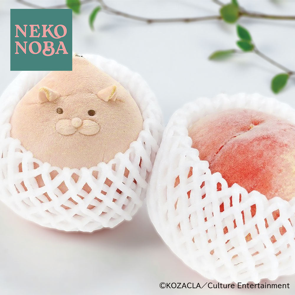 ふわもちももネコ ぬいぐるみキーホルダー