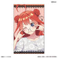 TVスペシャルアニメ「五等分の花嫁＊」 トレーディングコレクションカード 【全10種】（BOX）