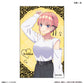 TVスペシャルアニメ「五等分の花嫁＊」 トレーディングコレクションカード 【全10種】（BOX）