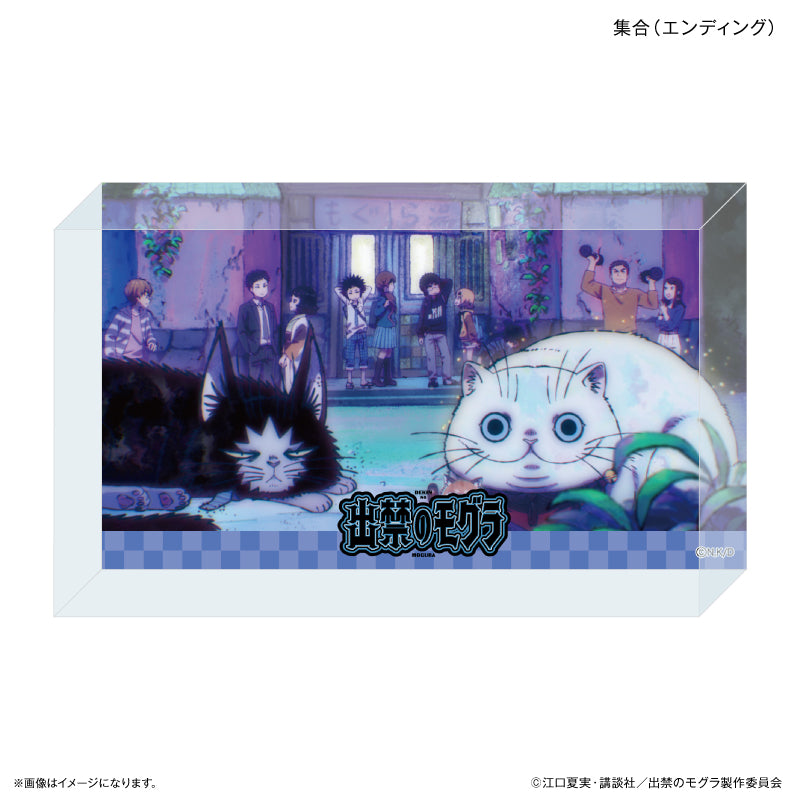 アイテム別】ブロック – FAN+Life