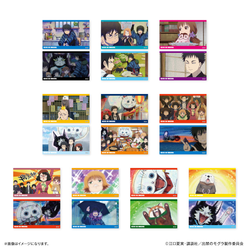 TVアニメ『出禁のモグラ』 トレーディングコレクションカード【全10種】（BOX）