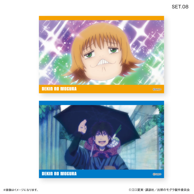 TVアニメ『出禁のモグラ』 トレーディングコレクションカード【全10種】（BOX）