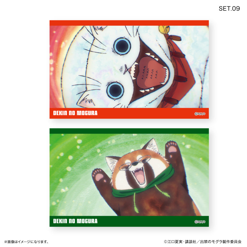 TVアニメ『出禁のモグラ』 トレーディングコレクションカード【全10種
