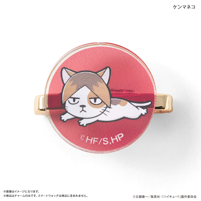 ハイキュー!! スマートウォッチチャーム 音駒高校・ケンマネコ