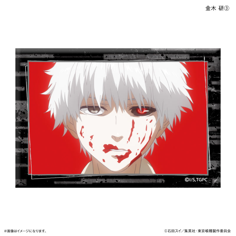 TVアニメ『東京喰種トーキョーグール』 ミニアートスタンド 金木 研③