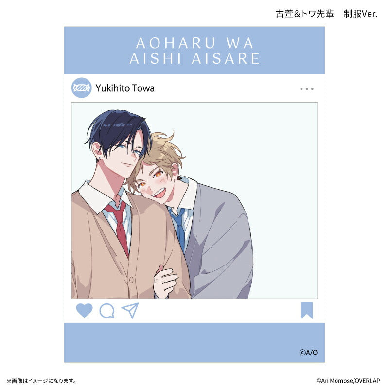 アイテム別】カード – FAN+Life
