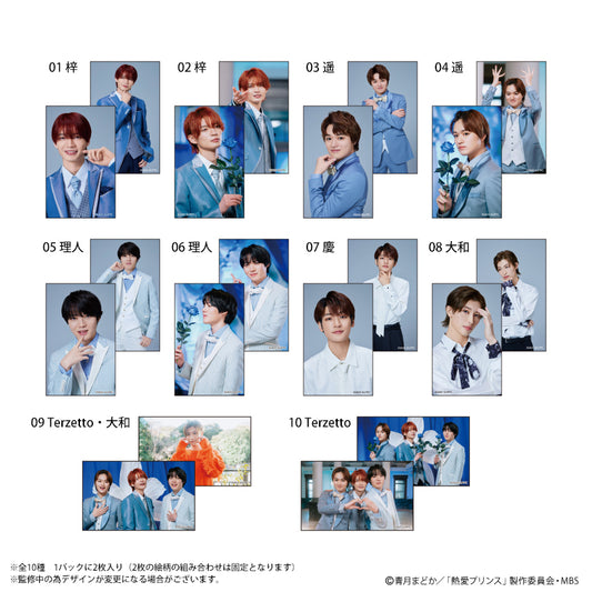 熱愛プリンス トレーディングブロマイド 全10種 単品