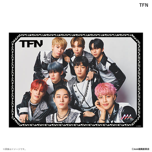 B2ポスター Asia Artist Awards 2022 TFN